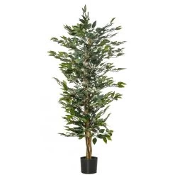 Arbre Artificiel Plante Artificiel Ficus Hauteur 1,5 M Tronc Branches Liane Lichen Feuilles Grand Réalisme Pot Inclus -Vous ne pouvez pas battre les meubles. 2f966ff5e4fa9e87e65b4b2d705c0b96 none 91661149e5b55ede807caa436519f7d9 9166114