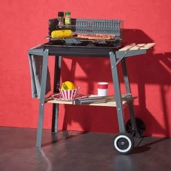 Barbecue à Charbon Sur Chariot 2 Tablettes Darwin 9 Barbecue à Charbon Sur Chariot 2 Tablettes Darwin -Vous ne pouvez pas battre les meubles. 341424