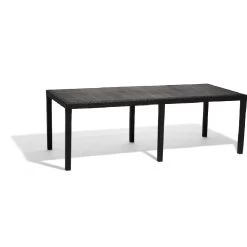 Table Rectangulaire Résine 10 Personnes Gris