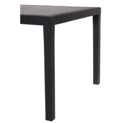 Table Rectangulaire Résine 10 Personnes Gris -Vous ne pouvez pas battre les meubles. 374767 morePictures 02