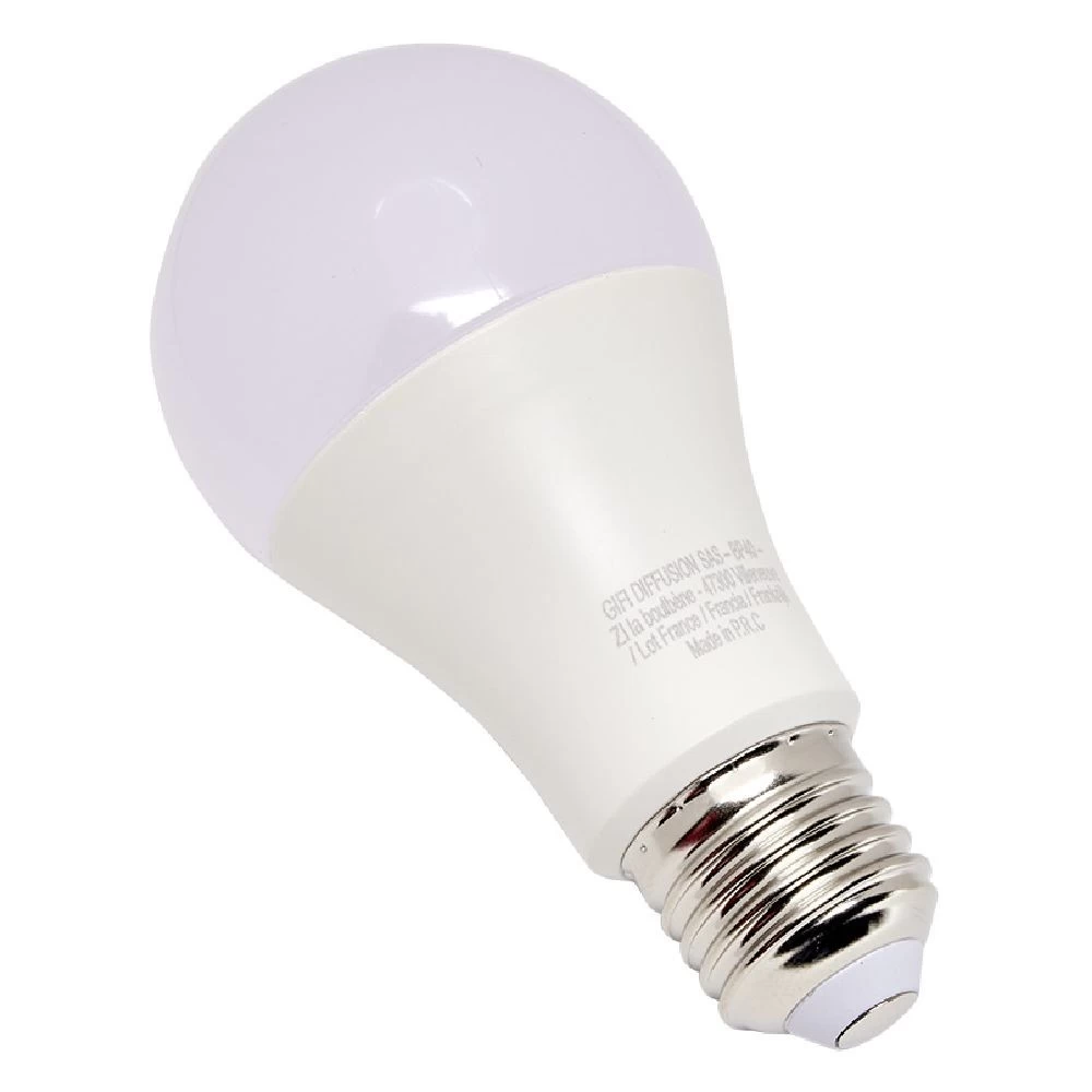 Ampoule LED A60 E27 X2 1 Ampoule LED A60 E27 X2