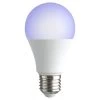 Ampoule LED E27 A60 Couleurs Changeantes Avec Télécommande 806lms