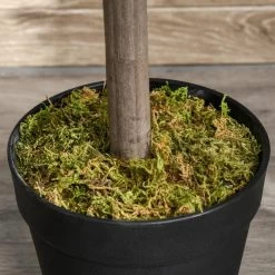 Lauriers Artificiels 0,90H M - Lot De 2 Lauriers Boules Artificiels - 564 Feuilles Réalistes Par Pied - Pot Inclus Noir Vert -Vous ne pouvez pas battre les meubles. 5b27cda9c5c5e02f4c5804bb85fc46a8 none 63f4864e0038afbd3c0dee86d43b39c1 63f4864