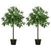 Lauriers Artificiels 0,90H M - Lot De 2 Lauriers Boules Artificiels - 564 Feuilles Réalistes Par Pied - Pot Inclus Noir Vert