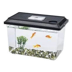Kit Aquarium Vivarium Avec Gravier Et Plante L37x22xH24cm -Vous ne pouvez pas battre les meubles. 600750