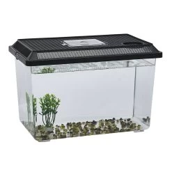 Kit Aquarium Vivarium Avec Gravier Et Plante L37x22xH24cm