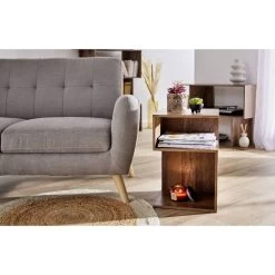 Table De Chevet Bout De Canapé - 2 Niches Marron 33x29xH50 Cm -Vous ne pouvez pas battre les meubles. 601501 morePictures 04