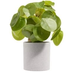 Plante Articielle Ø8xH20cm