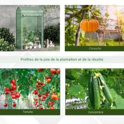 Serre De Jardin Serre à Tomates Anti-UV Dim. 100L X 51l X 170H Cm Porte Zipée Déroulante Métal Thermolaqué PE Vert 12 Serre De Jardin Serre à Tomates Anti-UV Dim. 100L X 51l X 170H Cm Porte Zipée Déroulante Métal Thermolaqué PE Vert -Vous ne pouvez pas battre les meubles. 8b99f130a9cac0b22d1de7804775bcc3 none 8a9366331a5e64410aa130ecf0b573c5 8a93663