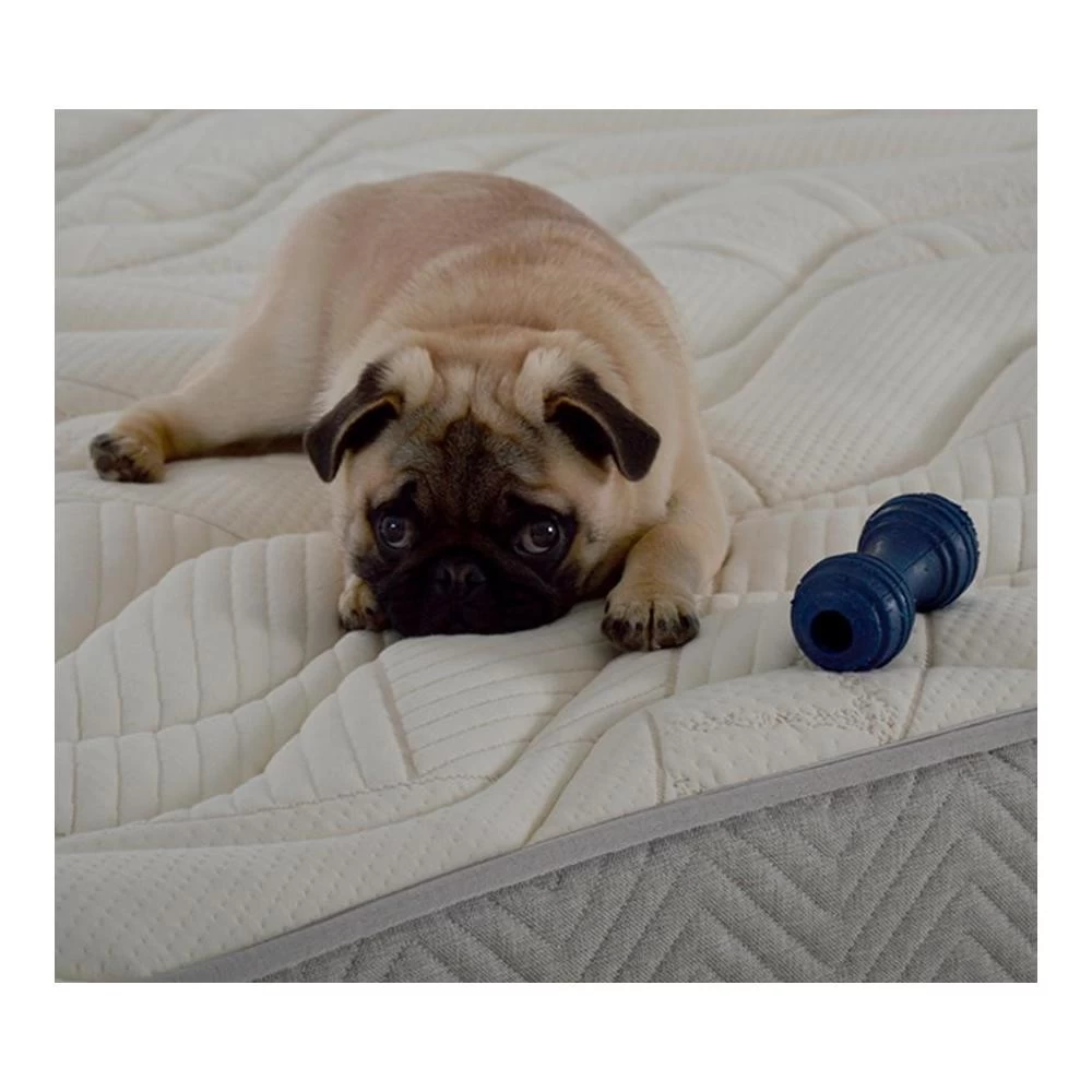 NUIT DE COTON | Matelas Prélude Bio 140x190 Cm | Latex Naturel | Soutien Ferme 3 NUIT DE COTON | Matelas Prélude Bio 140x190 Cm | Latex Naturel | Soutien Ferme – Image 3