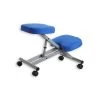 Tabouret Ergonomique ROBERT Couleur Aluminium/bleu