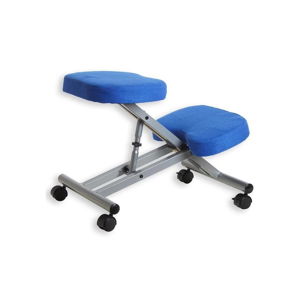 Tabouret Ergonomique ROBERT Couleur Aluminium/bleu 1 Tabouret Ergonomique ROBERT Couleur Aluminium/bleu