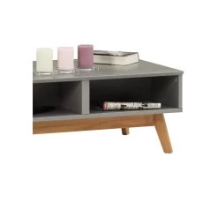 Table Basse TIBOR 2 Tiroirs Et 2 Niches Lasuré Gris -Vous ne pouvez pas battre les meubles. cc0d1914ea27ca8a4912157bfa1245ca none 4ae053250c7886775b0be78dc0167640 4ae0532