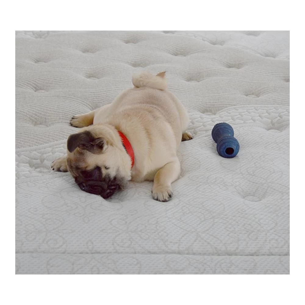 NUIT DE COTON | Matelas Sérénade Bio 90x200 Cm | Ressorts Ensachés | Soutien Ferme 3 NUIT DE COTON | Matelas Sérénade Bio 90x200 Cm | Ressorts Ensachés | Soutien Ferme – Image 3